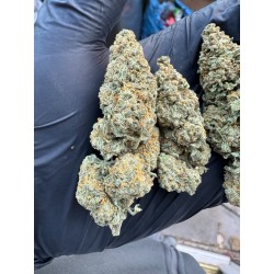 1g Amnesia Haze Cali Imported Flower UK-UK Only