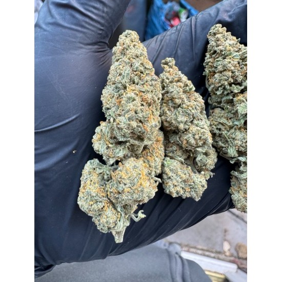 1g Amnesia Haze Cali Imported Flower UK-UK Only 1g Amnesia Haze Cali Imported Flower UK-UK Only