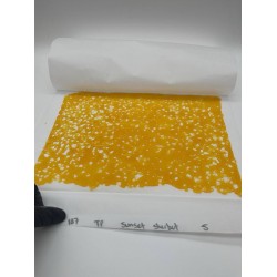 Sunset Sherbert Shatter
