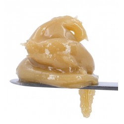 Kush Cookies 70u-159u Live Hash Rosin 500mg