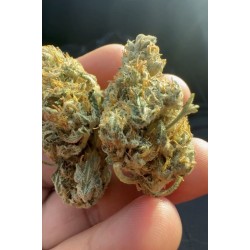 Cali Imported Mac 1 Artisan Flower 1g